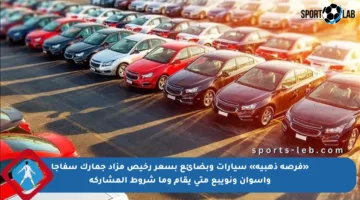 «فرصة ذهبية» سيارات وبضائع بسعر رخيص مزاد جمارك سفاجا وأسوان ونويبع متى يقام وما شروط المشاركة